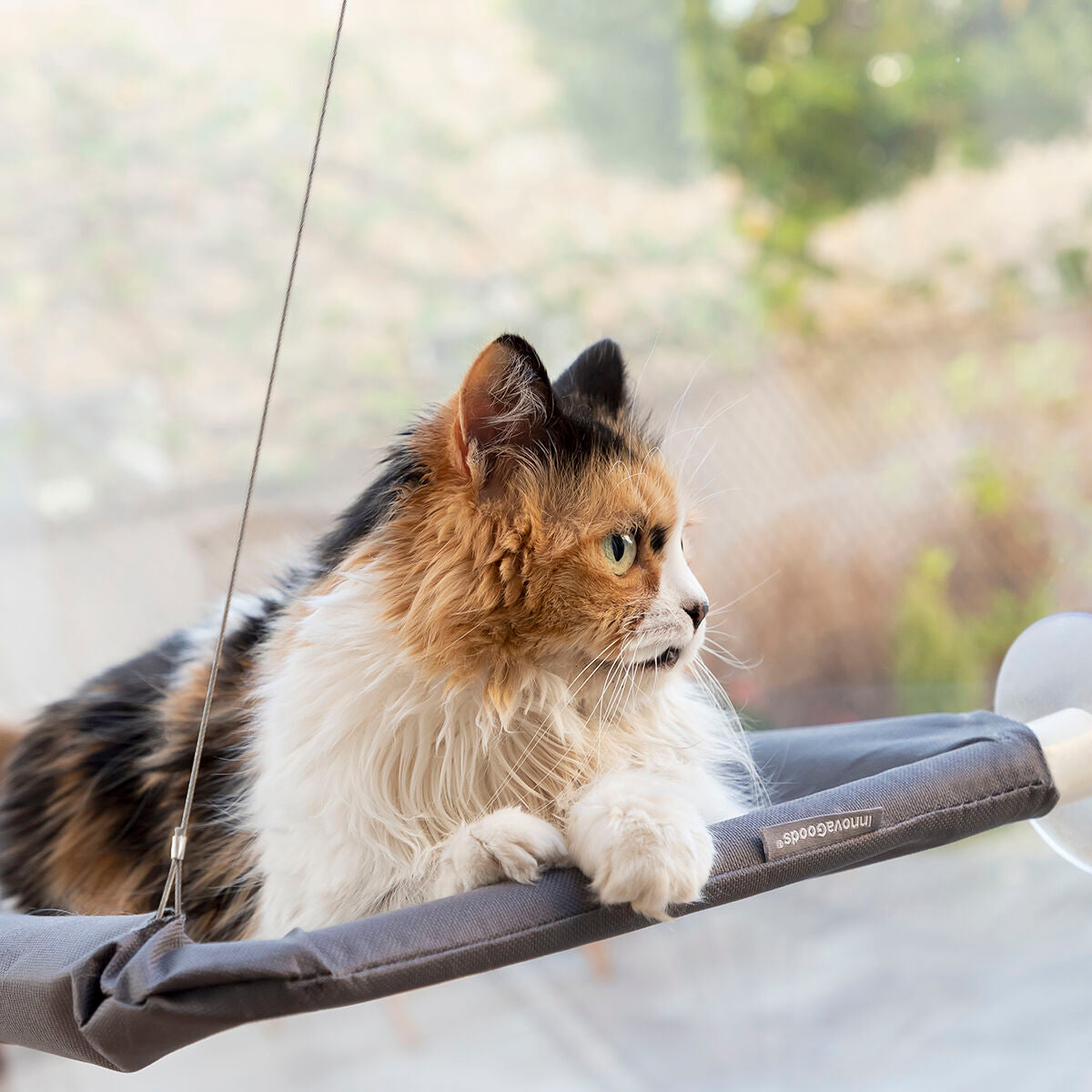Bequemes Fensterbett für Katzen
