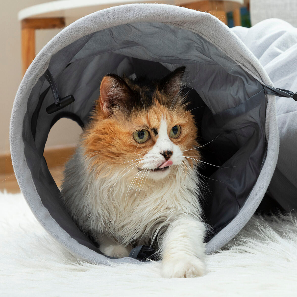 Katzenspielzeug zum Verstecken und Erkunden