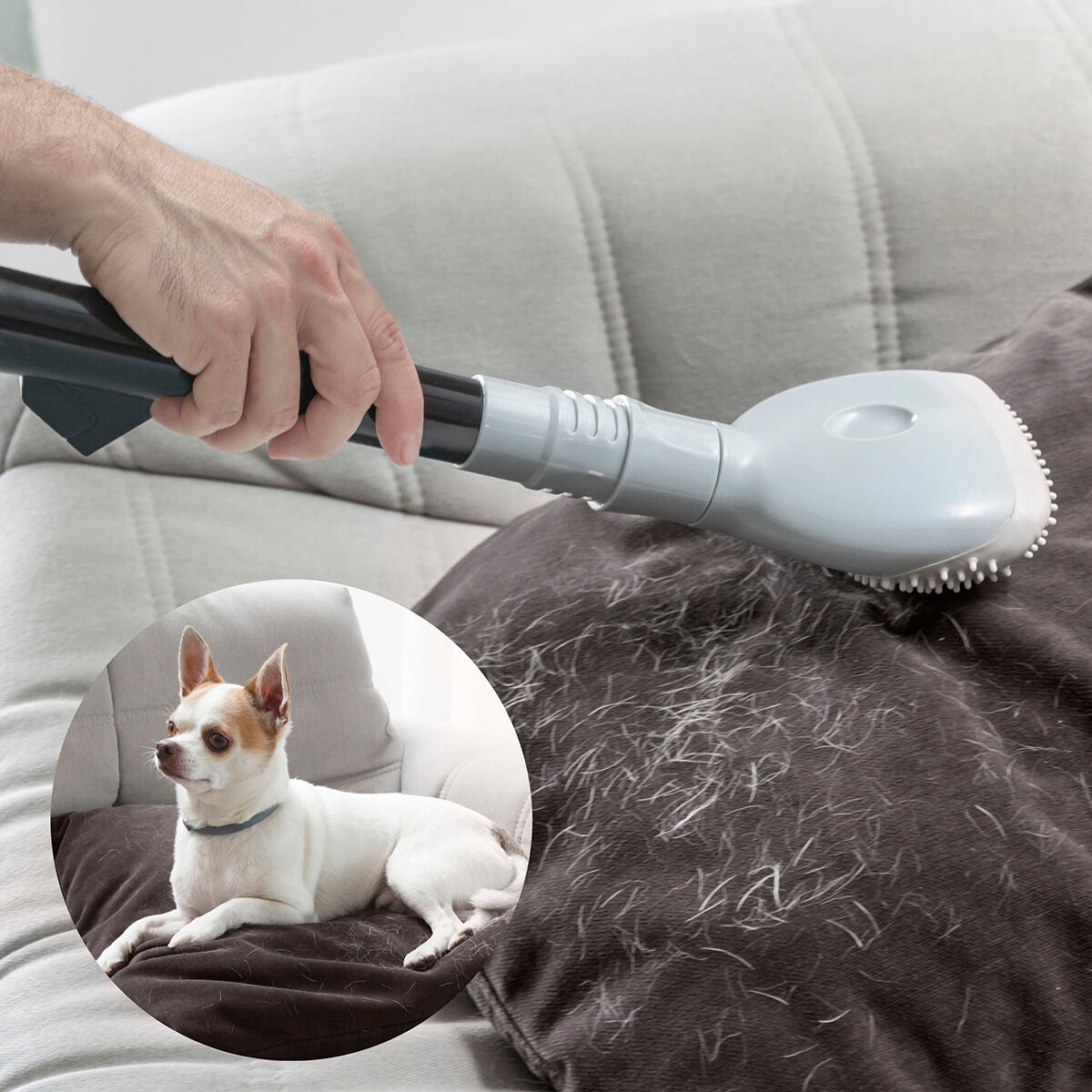 Tierhaarbürste für Staubsauger zum Entfernen von Hunde- und Katzenhaaren