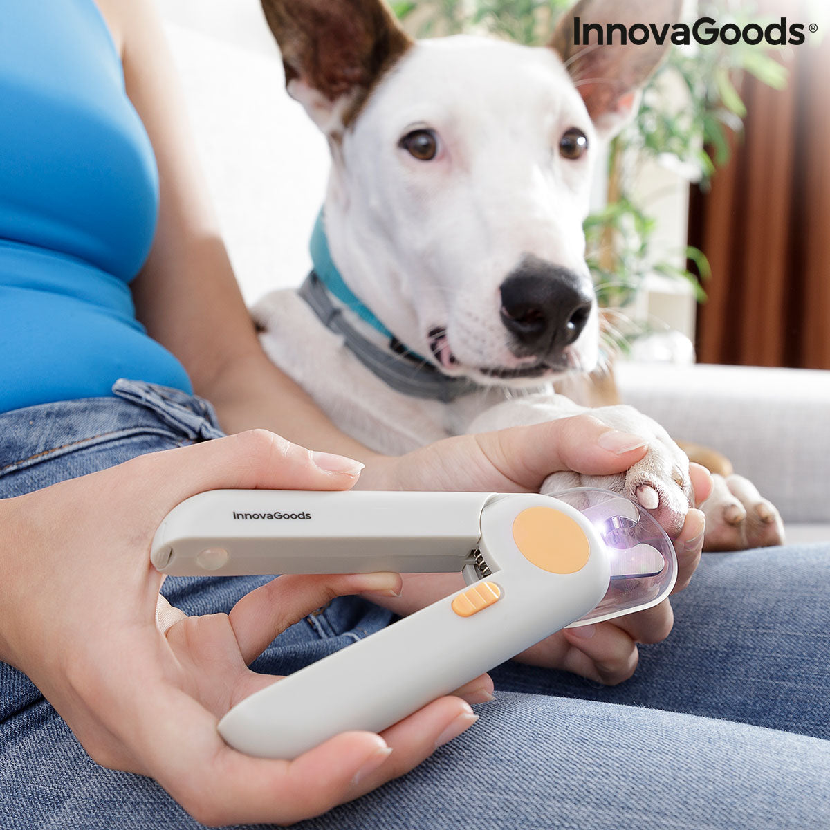 Pet Nail Clippers with LED Clipet