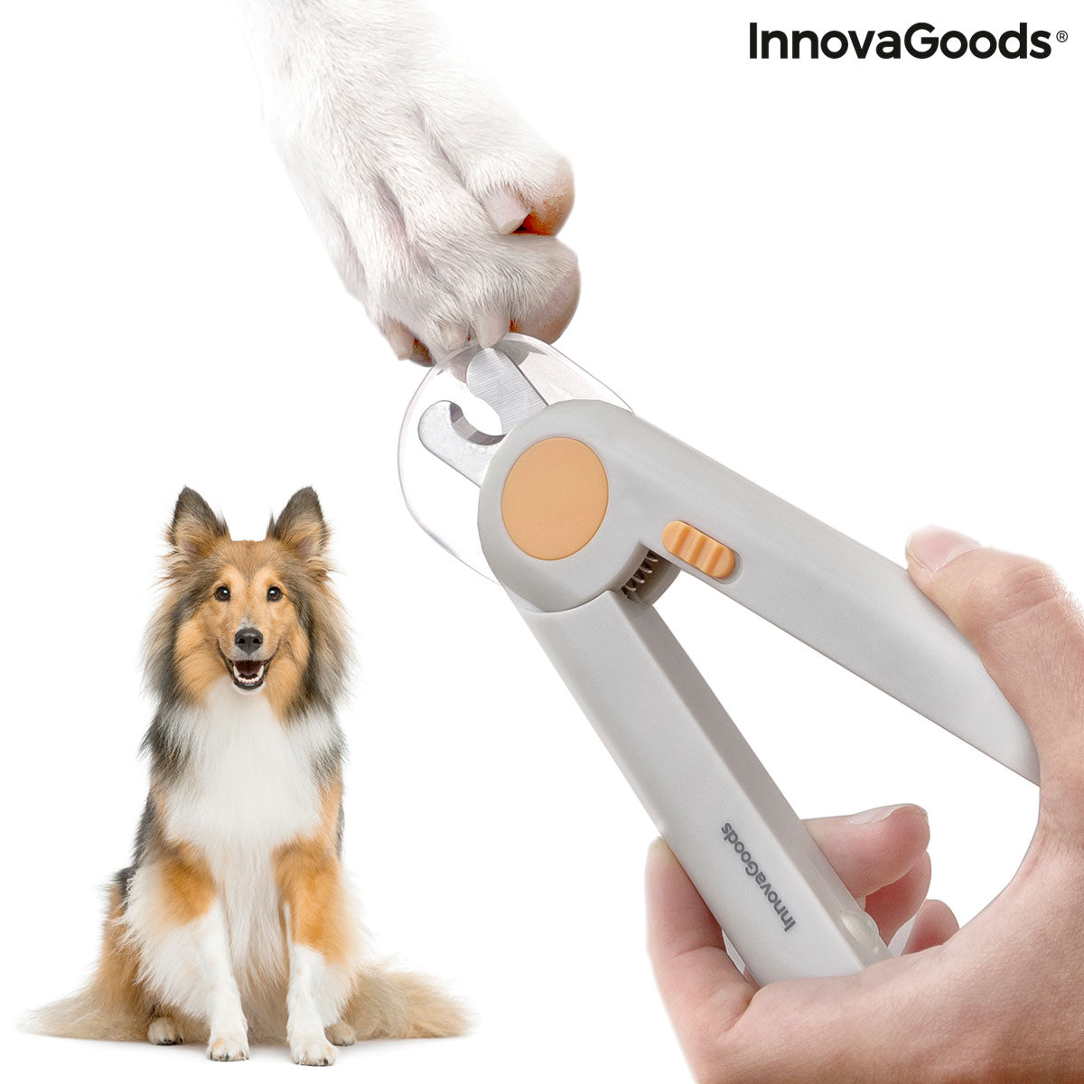 Pet Nail Clippers with LED Clipet