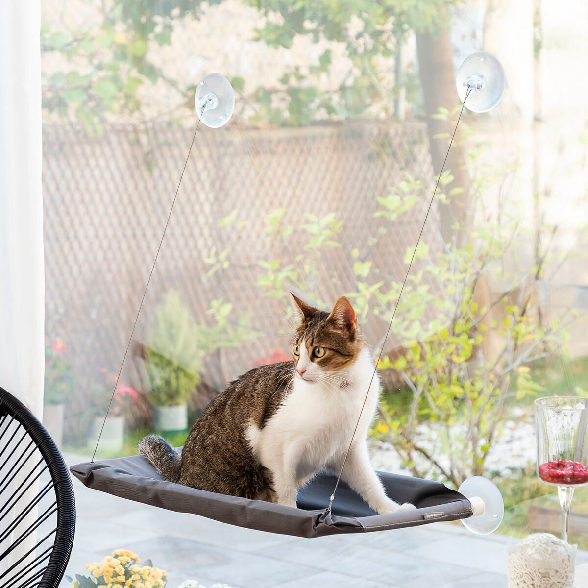 Hanging Cat Hammock