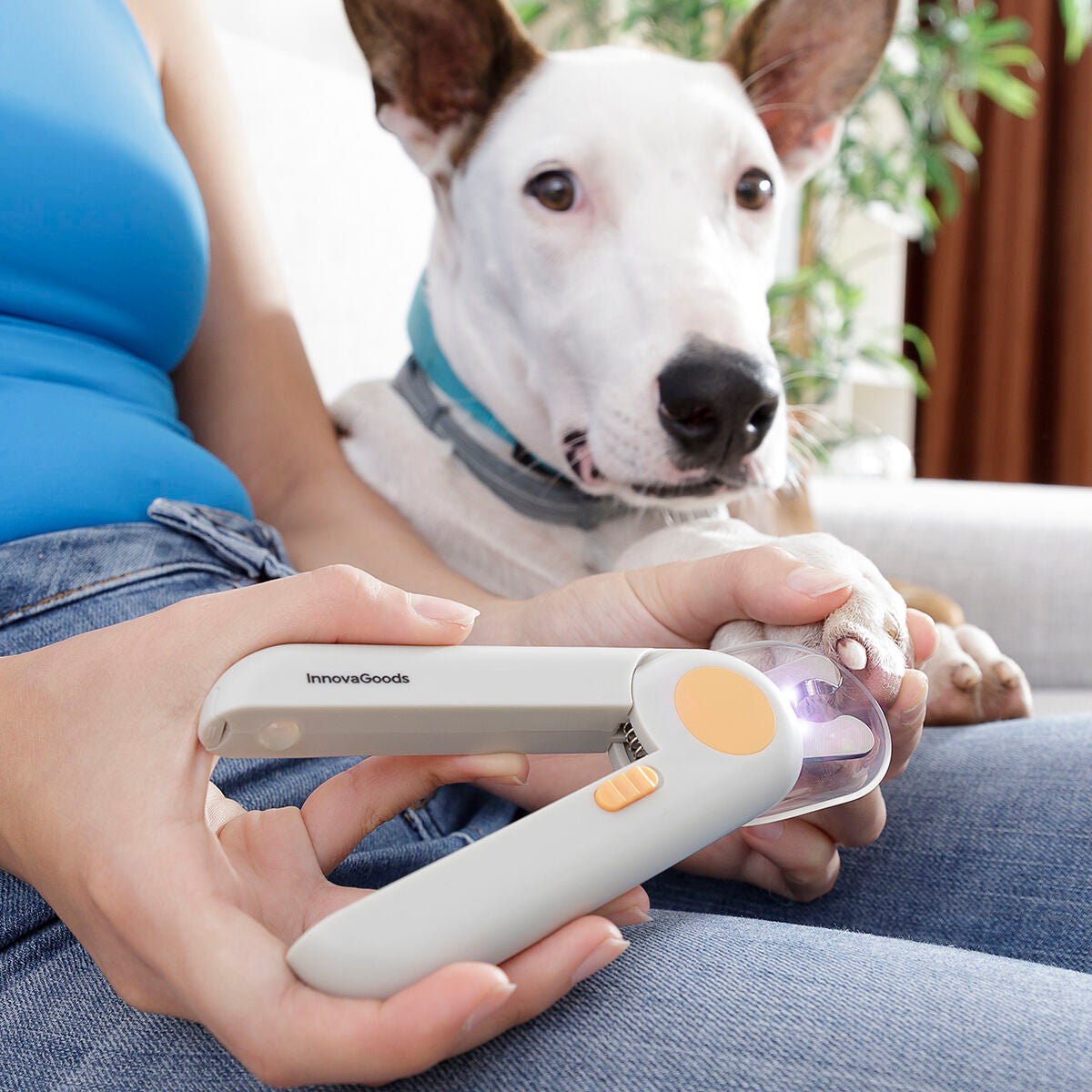 Pet Nail Clippers with LED Clipet