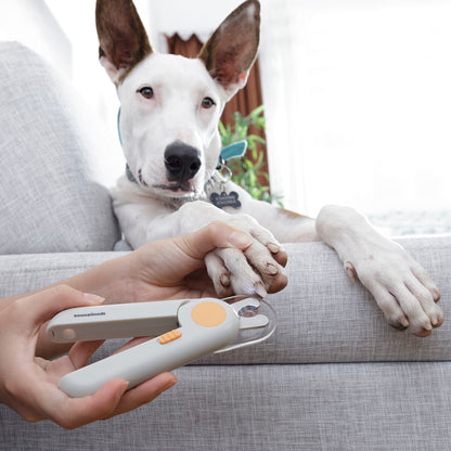 Pet Nail Clippers with LED Clipet