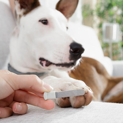 Pet Nail Clippers with LED Clipet