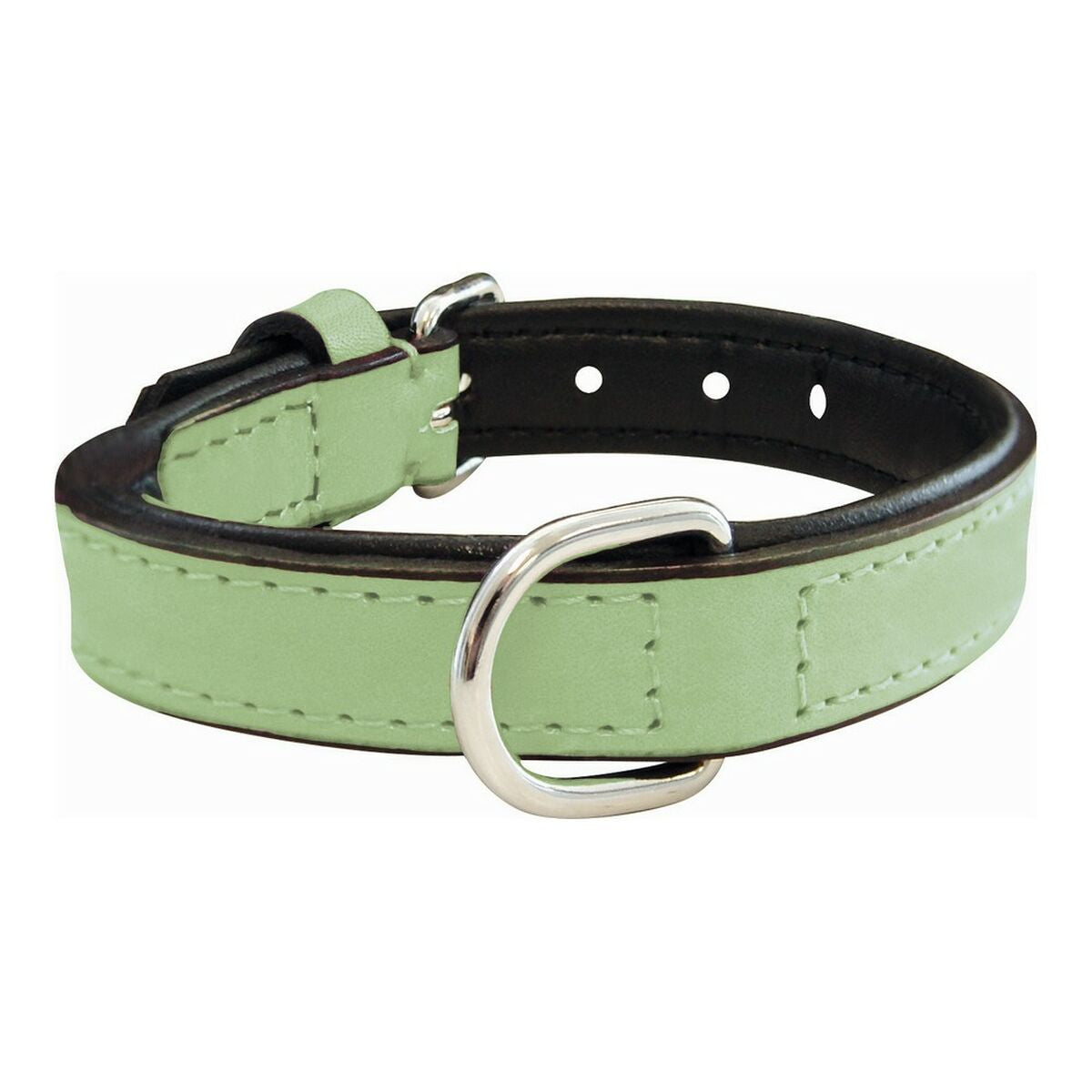 Grünes gepolstertes Hundehalsband für Hunde