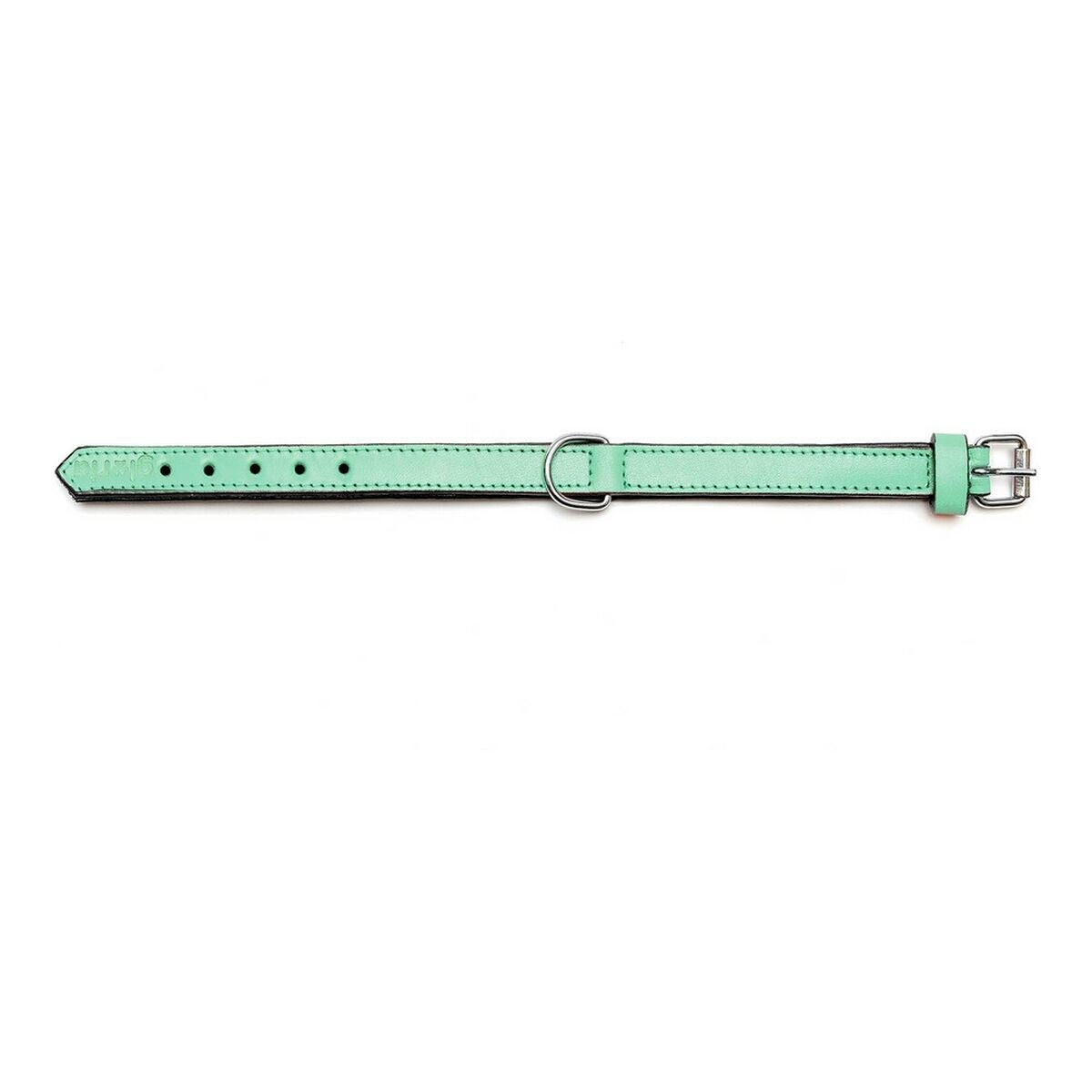 Komfortables Halsband für tägliche Hundespaziergänge