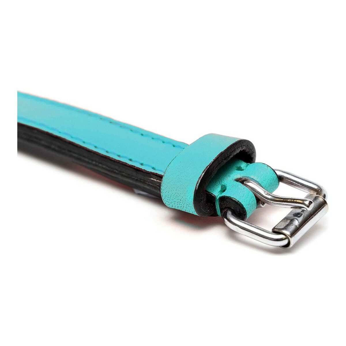 Robustes Hundehalsband für Hunde