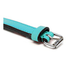 Robustes Hundehalsband für Hunde