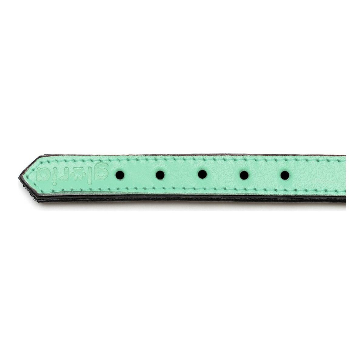 Gloria Hundehalsband in Grün mit weicher Polsterung