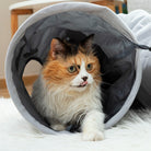 Katzenspielzeug zum Verstecken und Erkunden