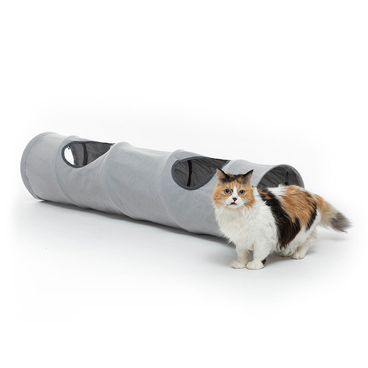 Interaktiver Spieltunnel für neugierige Katzen
