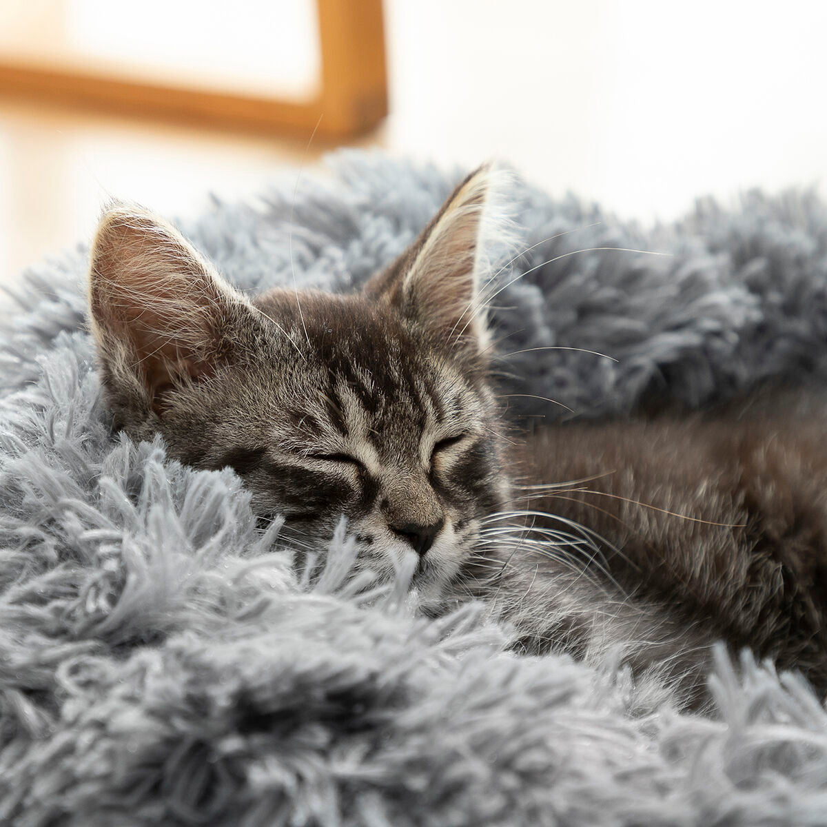 Weiches rundes Hundebett mit flauschigem Bezug