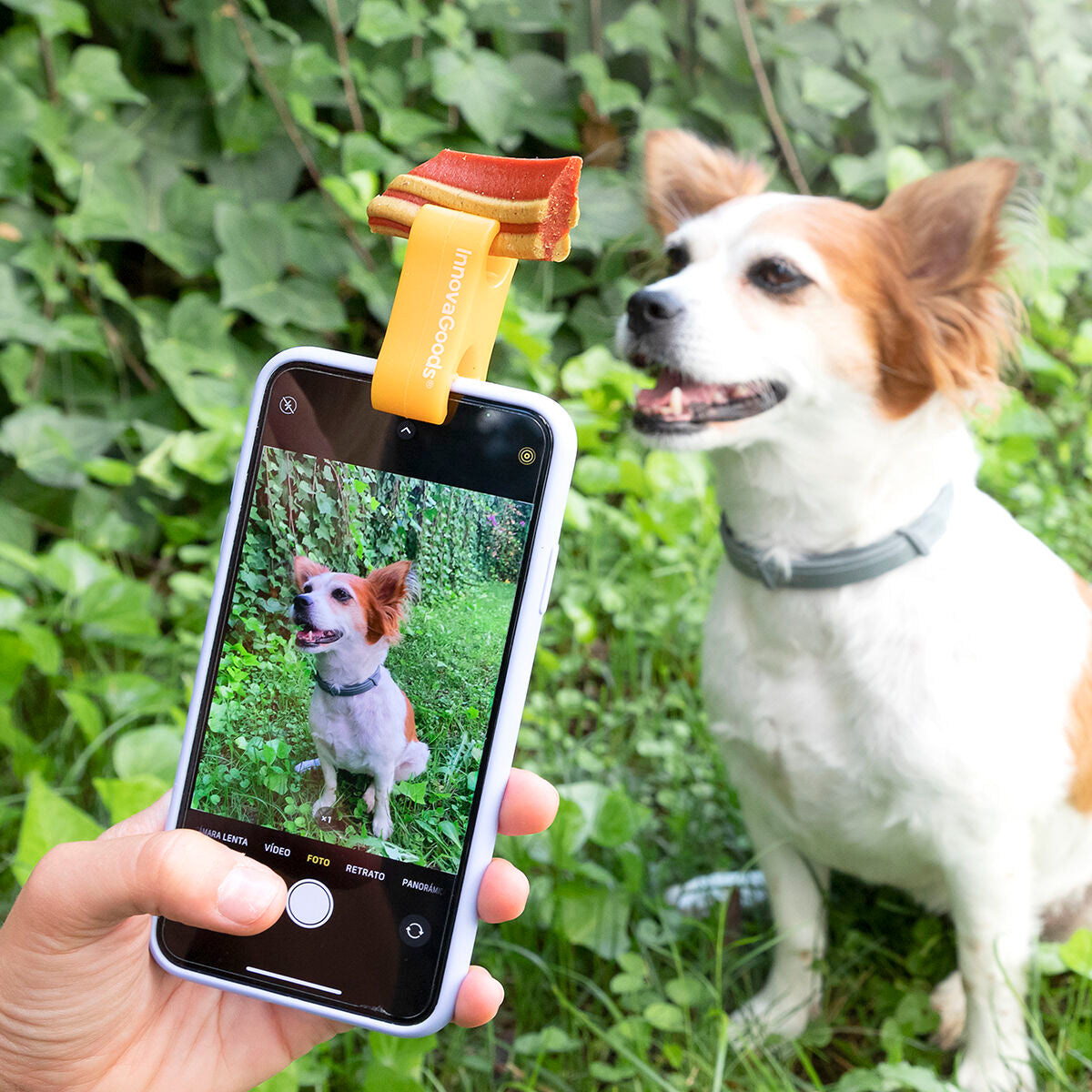 Selfie-Clip für Hunde und Katzen am Smartphone